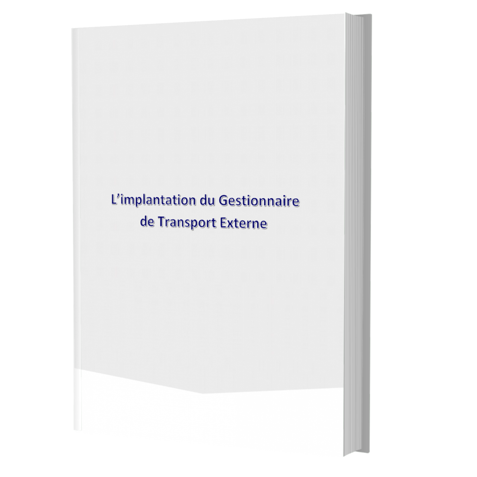 illustration memento implantation gestionnaire transport externe